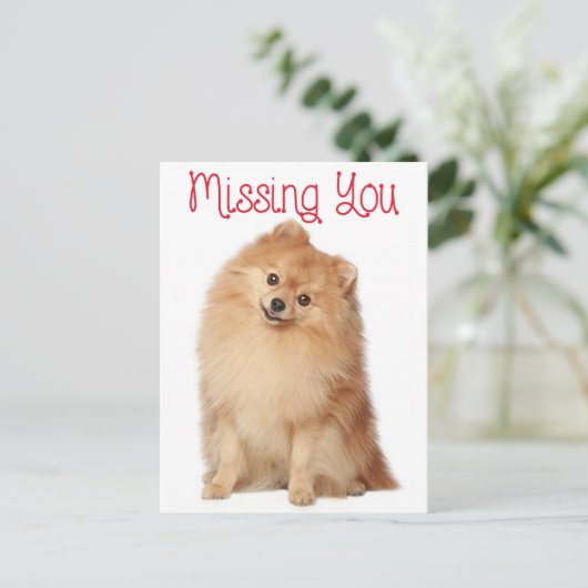 Miss You Pomeranian Puppy Dog Greeting Briefkaart (Staand voorkant)