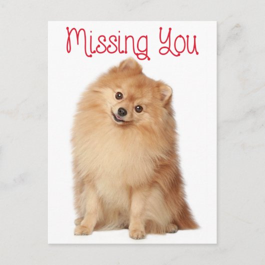 Miss You Pomeranian Puppy Dog Greeting Briefkaart (Voorkant)