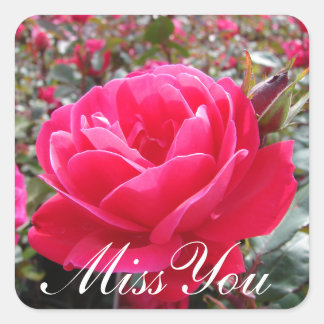 Miss You Romantic Rose Stickers