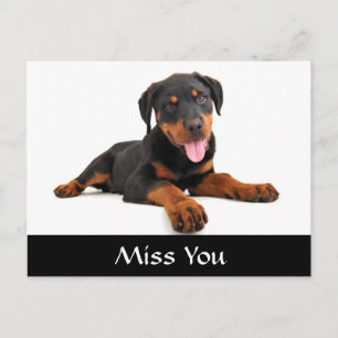 Miss You Rottweiler Puppy Chien Grey Carte Postale