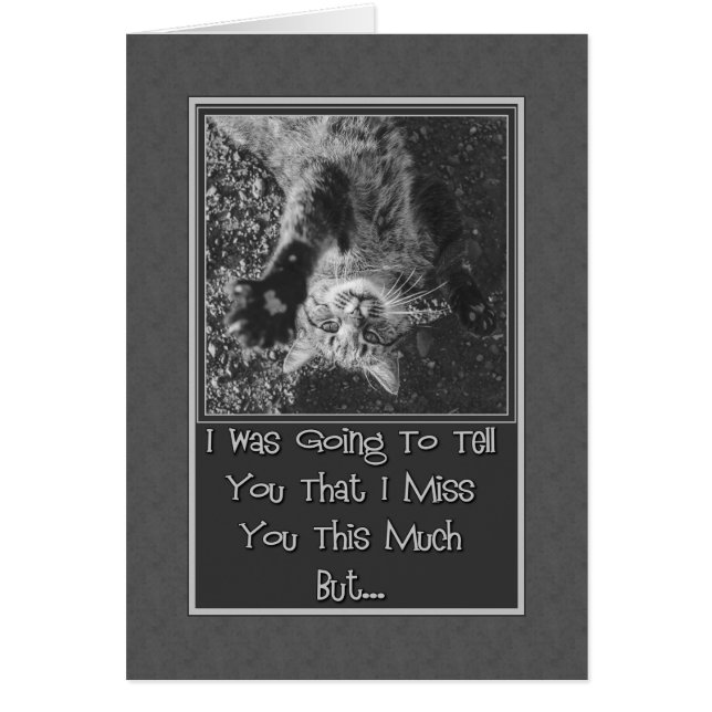 Miss You Stretching Kitty (Devant)