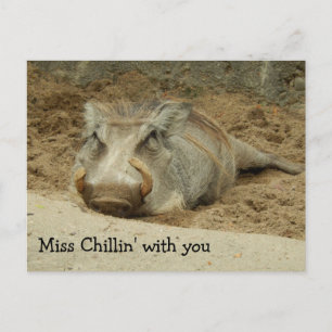 Miss You Wathog Briefkaart