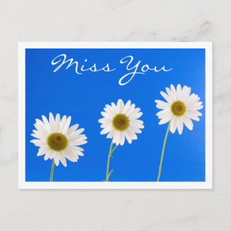 Miss You White Daisy Floral Greeting Briefkaart