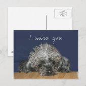 Miss you zilveren poodle briefkaart (Voorkant / Achterkant)