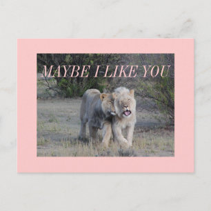 misschien briefkaart