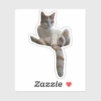 Misschien Moet Je Dat Bedekken? Kat Sticker
