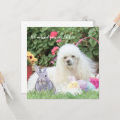 Misse you on Easter pooddog carte plat (Devant/Arrière en situation)