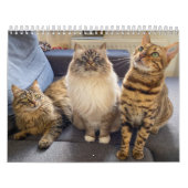 Missenell 2022-kalender kalender (Hoes)