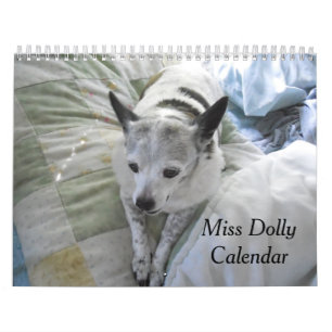 Misser Dolly Calendar Kalender
