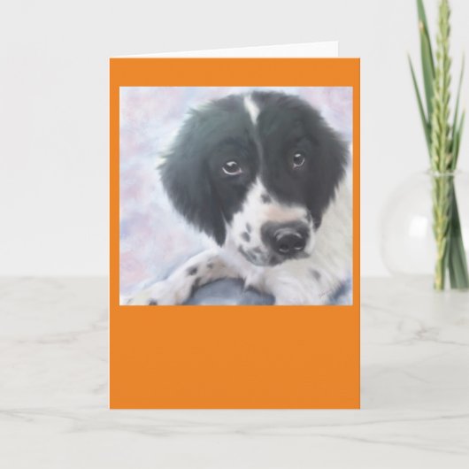 Misser Fannie - het Engelse Spaniel van de Kaart (Voorkant)