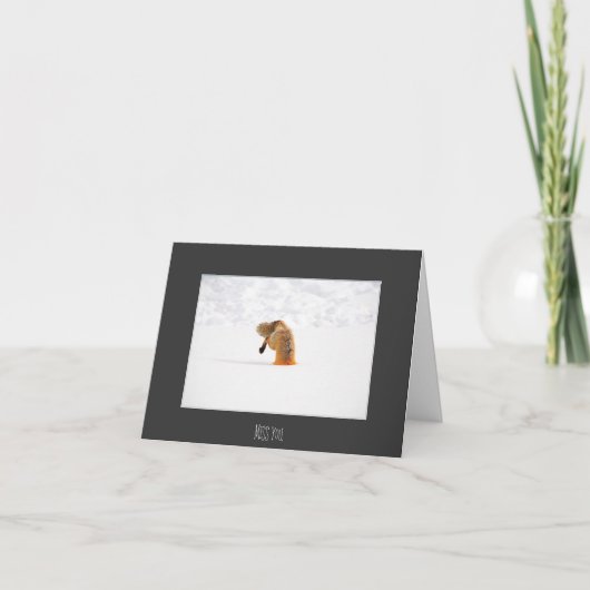 MISSER U KAART (Voorkant)