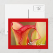 Misser You Calla Lily Postcard Briefkaart (Voorkant / Achterkant)