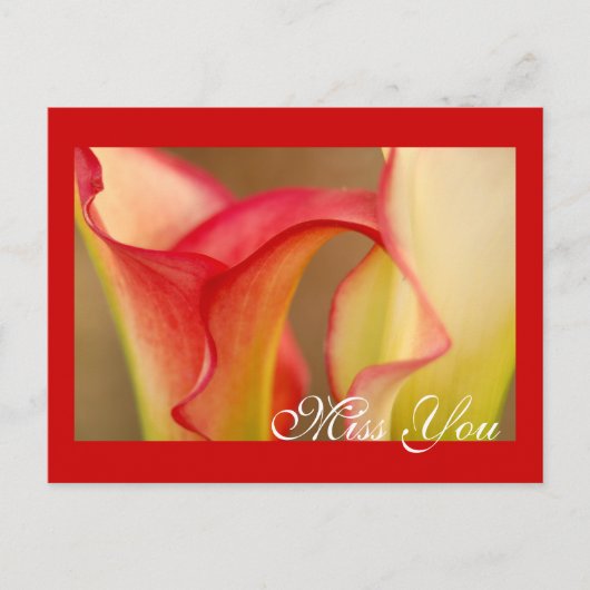 Misser You Calla Lily Postcard Briefkaart (Voorkant)