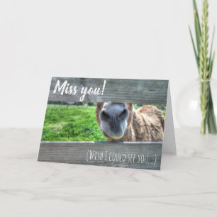 Misser You Wish I Could ziet Leeg u Kaart