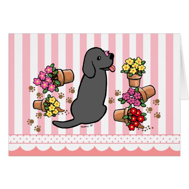 Missime Black Labrador (Devant horizontal)