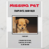 MISSING PET 02  FLYER POSTER (Voorkant)