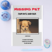 MISSING PET 02  FLYER POSTER (Enkel)