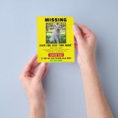Missing Pet Dog – Urgent Template Poster Flyer (Hand)