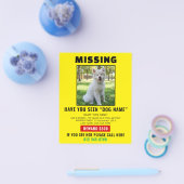 Missing Pet Dog – Urgent Template Poster Flyer (Enkel)