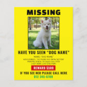 Missing Pet Dog – Urgent Template Poster Flyer (Voorkant)