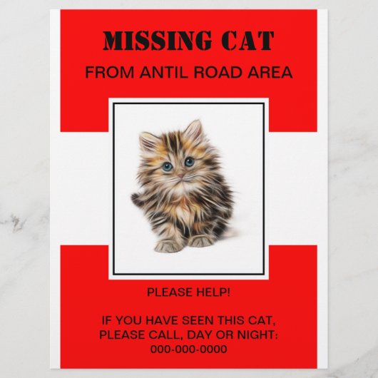 missing pet flyer,poster flyer (Voorkant)