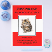 missing pet flyer,poster flyer (Enkel)