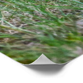 "Missing you" Permanent Juvenile Squirrel Poster (Hoek)