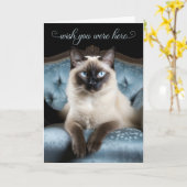 Missing You Siamese Cat on a Blue Chair Kaart (Gele Bloem)