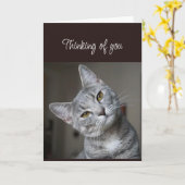 Missing You Thinking of You Curious Cat Kaart (Gele Bloem)