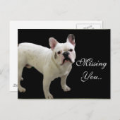 MIssing You White French Bulldog carte postale (Devant / Derrière)