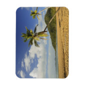 Mission Beach Magneet (Verticaal)