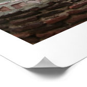 Mission Courtyard Poster (Hoek)