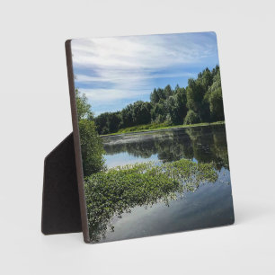 Mission Lake, OF Fotoplaat