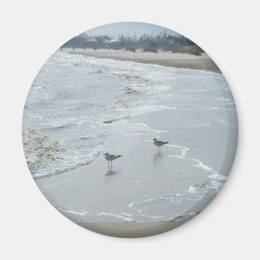 Mississippi Beach Magnet #2 (Devant)