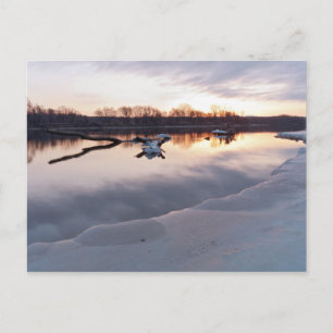 Mississippi Daybreak in South St Paul Briefkaart