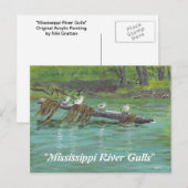 Mississippi Gulls Briefkaart (Voorkant / Achterkant)