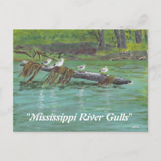 Mississippi Gulls Briefkaart