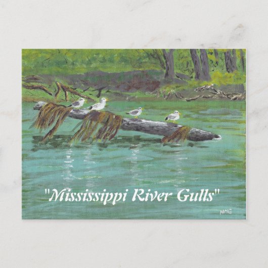 Mississippi Gulls Briefkaart (Voorkant)