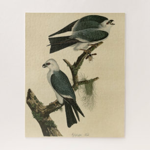 Mississippi Kite uit Audubon's Birds of America Legpuzzel