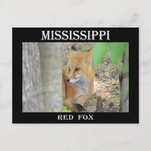 Mississippi Red Fox Briefkaart
