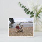 Mississippi riverfront briefkaart (Staand voorkant)