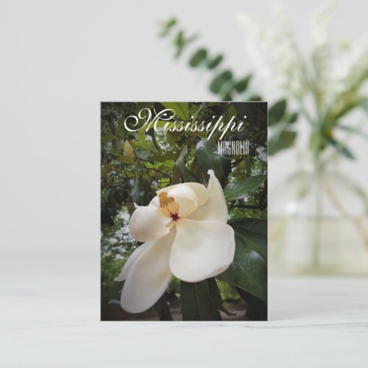 Mississippi State Flower, Magnolia Grandiflora Briefkaart (Staand voorkant)