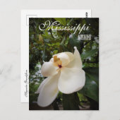 Mississippi State Flower, Magnolia Grandiflora Briefkaart (Voorkant / Achterkant)