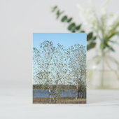 Mississippi Trees Briefkaart (Staand voorkant)