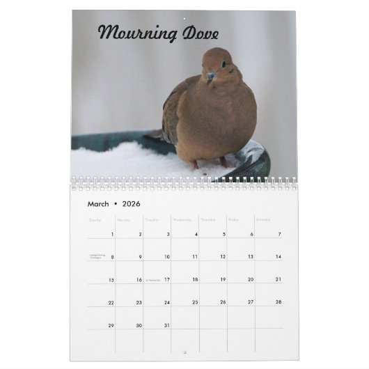 Missouri Backyard Birds Kalender (Mar 2026)