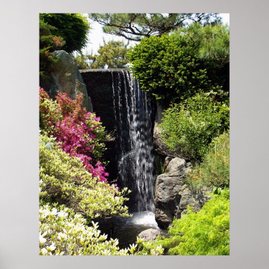 Missouri Botanical Garden Poster (Voorkant)