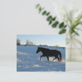 Missouri Foxtrotter bij schemering Briefkaart (Staand voorkant)