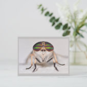 Missouri Horse Fly. Briefkaart (Staand voorkant)