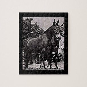 Missouri Mule Legpuzzel