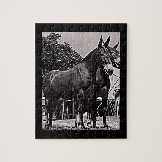 Missouri Mule Legpuzzel (Verticaal)
